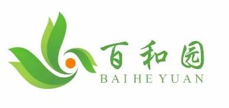 亚洲精品久久国产精品37P