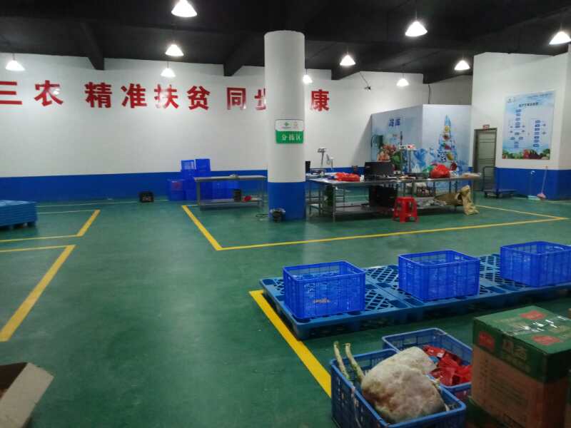 亚洲精品久久国产精品37P