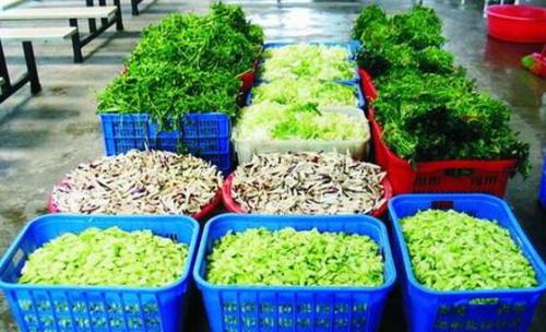 亚洲精品久久国产精品37P