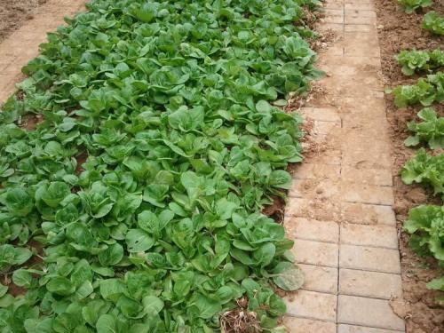 亚洲精品久久国产精品37P