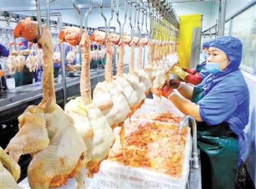 亚洲精品久久国产精品37P