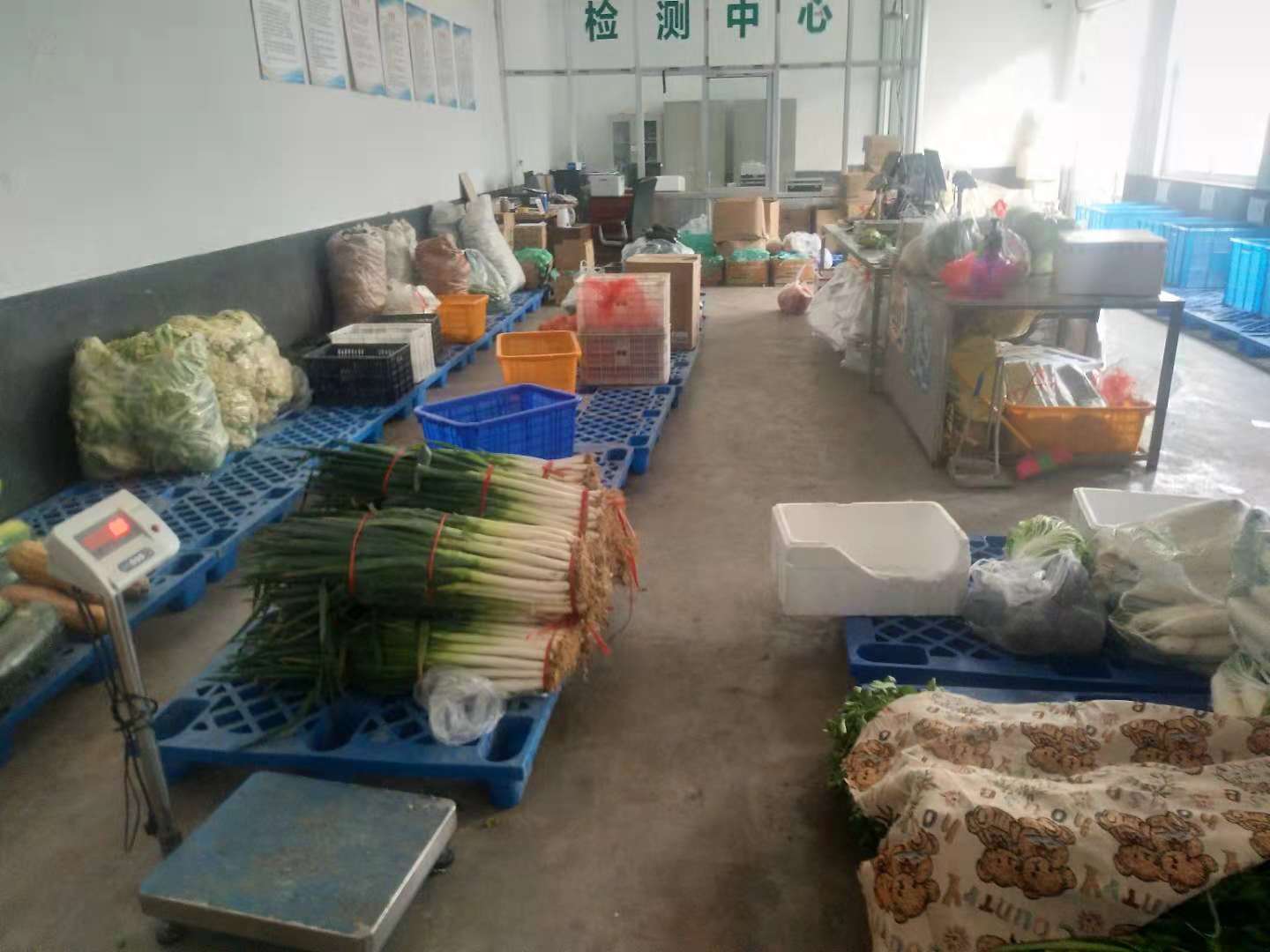 亚洲精品久久国产精品37P