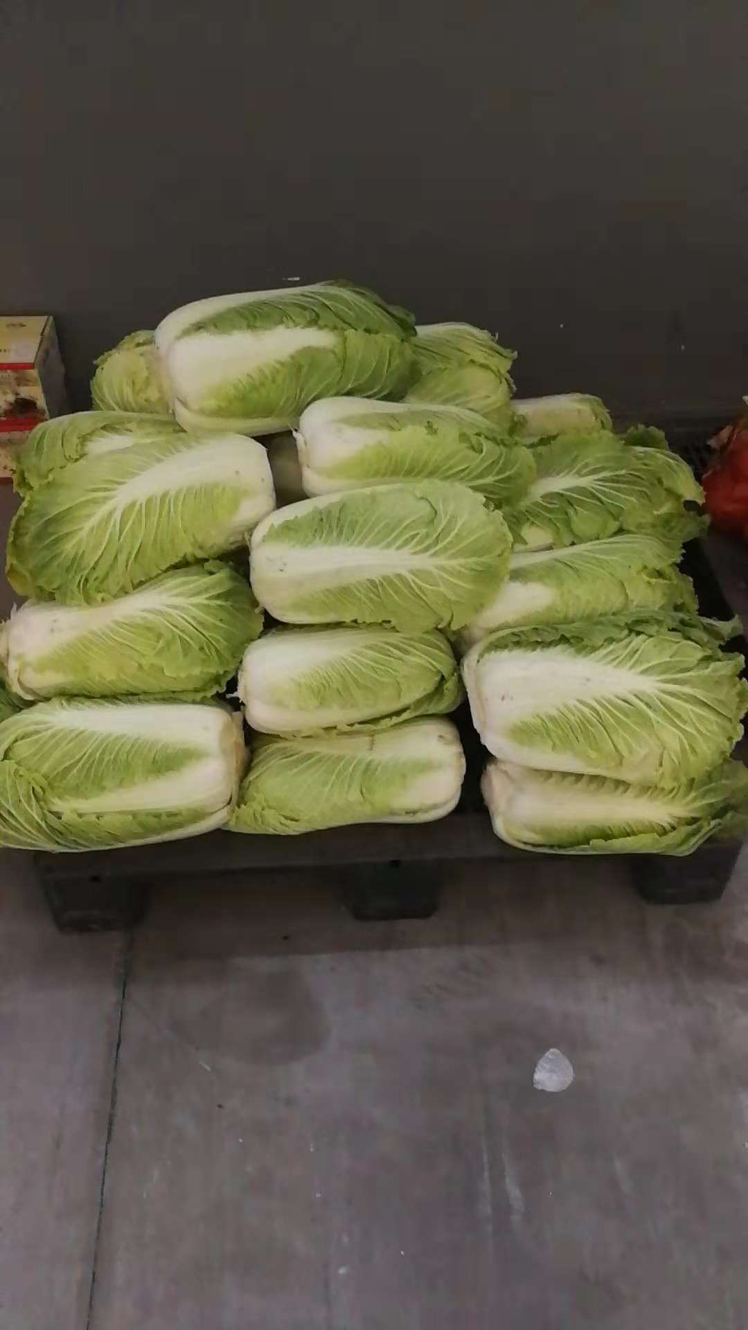 亚洲精品久久国产精品37P