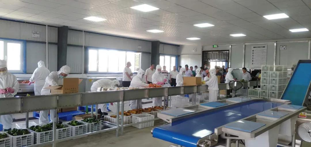 亚洲精品久久国产精品37P