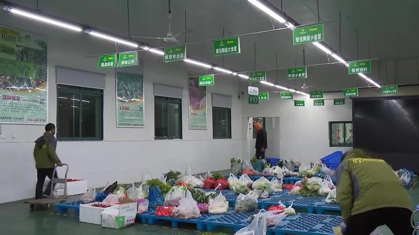 亚洲精品久久国产精品37P