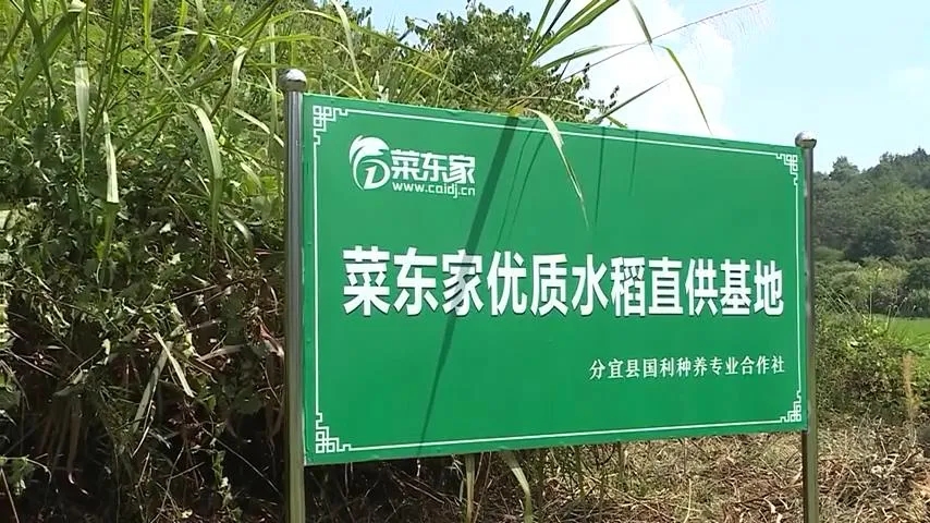 亚洲精品久久国产精品37P