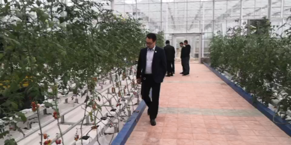 亚洲精品久久国产精品37P