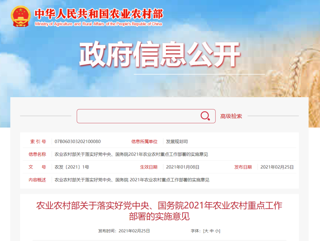 亚洲精品久久国产精品37P