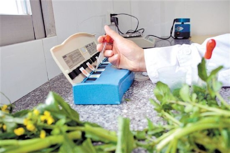 亚洲精品久久国产精品37P