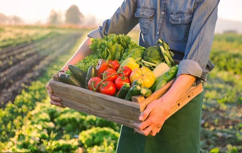 亚洲精品久久国产精品37P