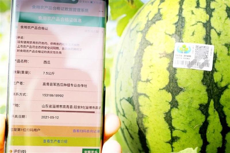 亚洲精品久久国产精品37P