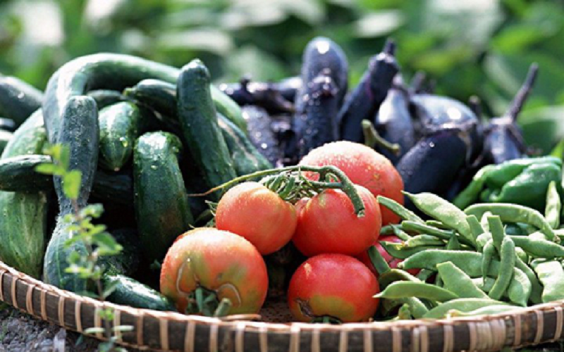 亚洲精品久久国产精品37P