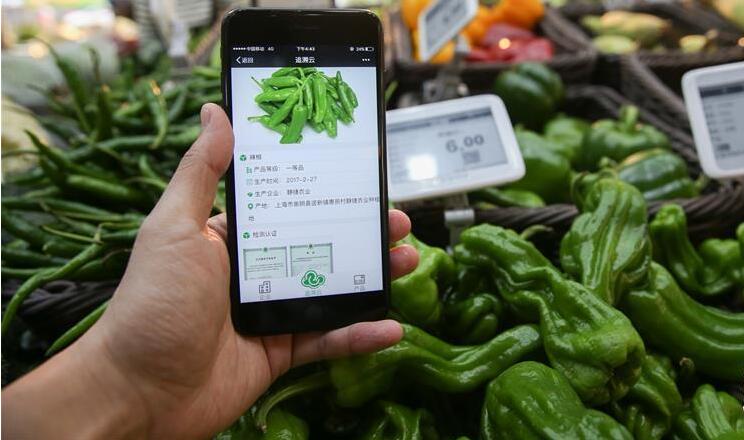 亚洲精品久久国产精品37P