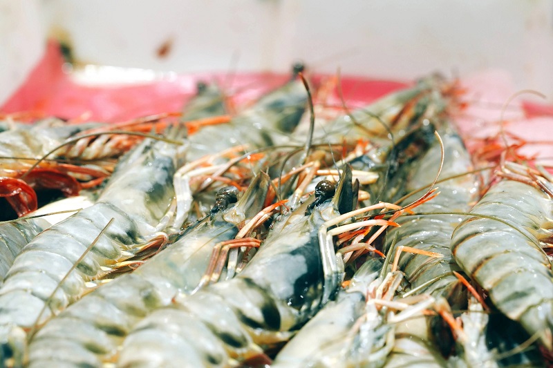 亚洲精品久久国产精品37P