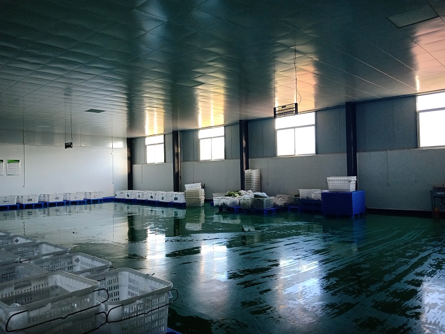 亚洲精品久久国产精品37P