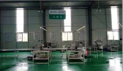 亚洲精品久久国产精品37P