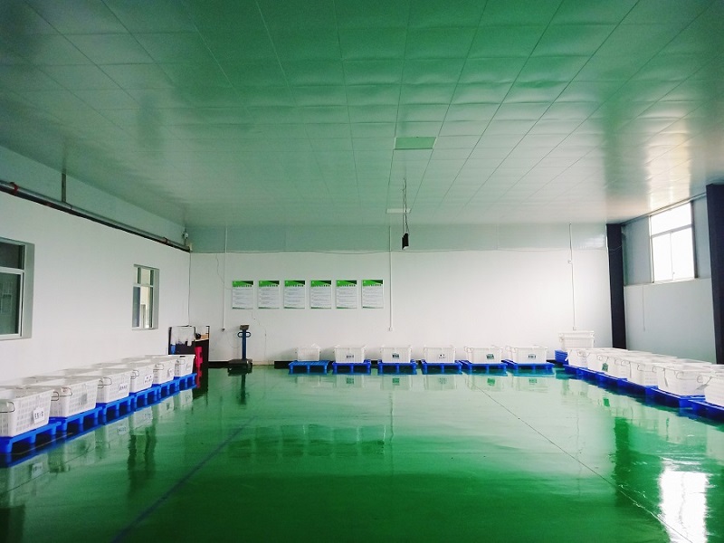 亚洲精品久久国产精品37P