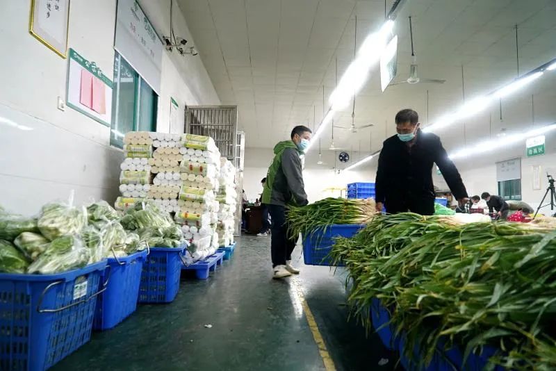 亚洲精品久久国产精品37P