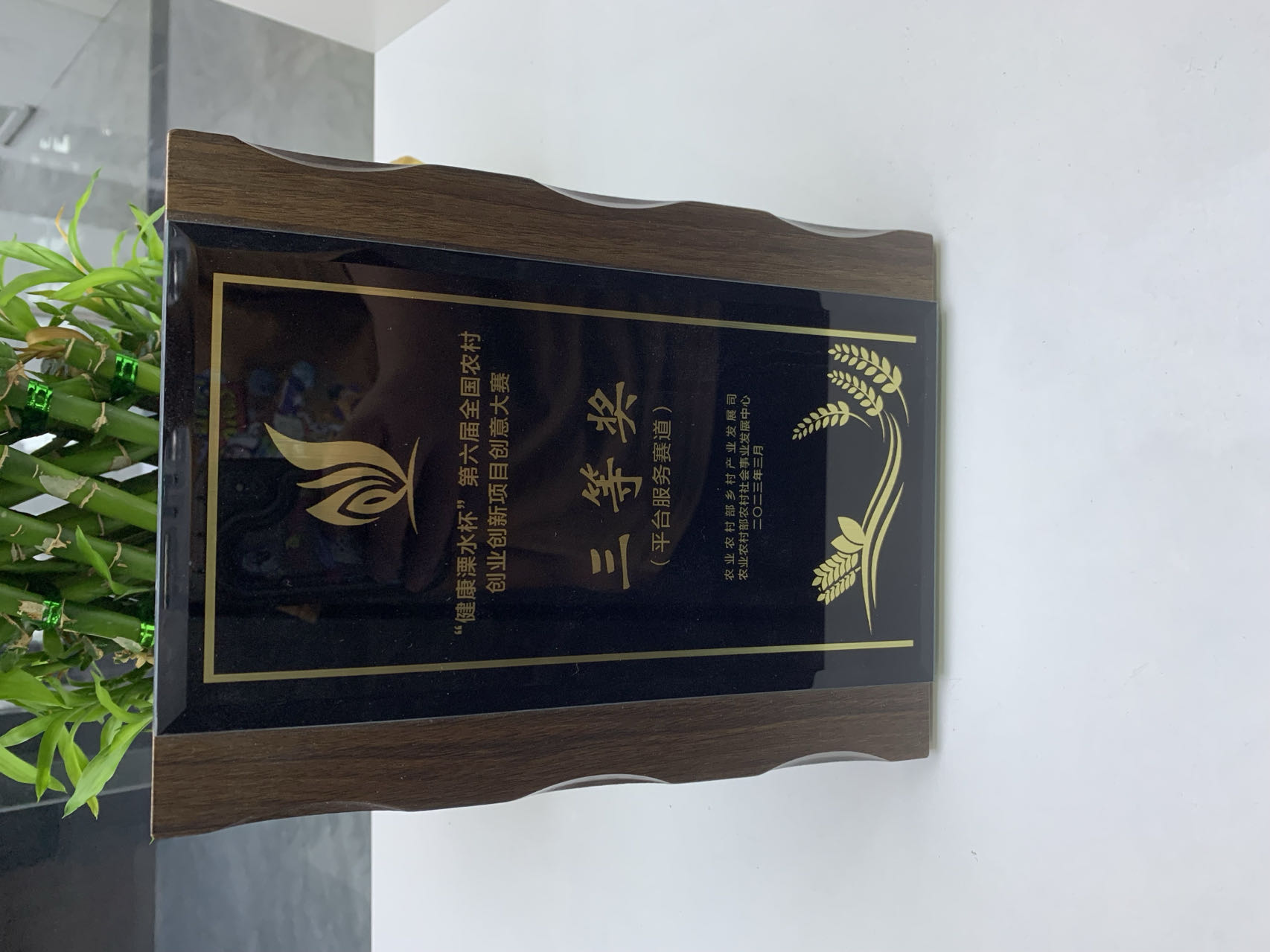 亚洲精品久久国产精品37P